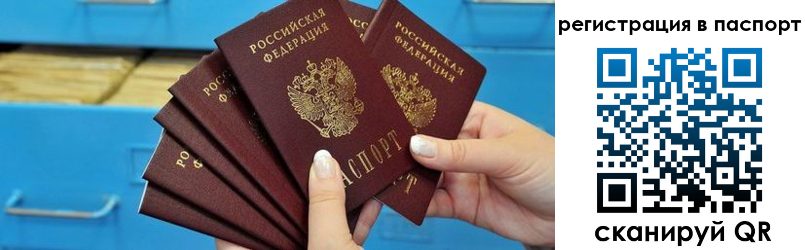 регистрация в Сельцо
